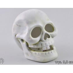 Podświetlana czaszka ceramiczna